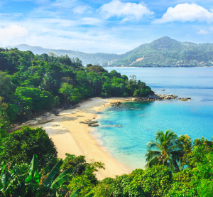 Tropische Bucht mit goldenem Sandstrand, türkisblauem Wasser und dichtem grünen Regenwald im Hintergrund.