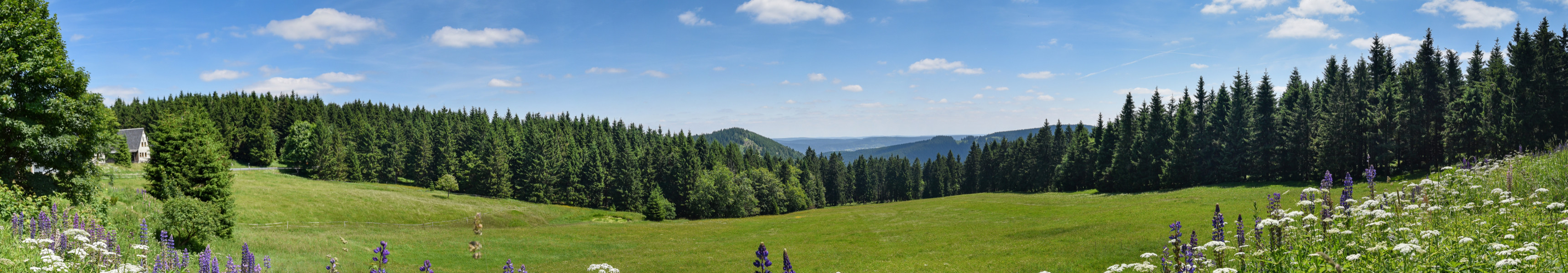 Th&uuml;ringer Wald im Sommer mit Bergwiese