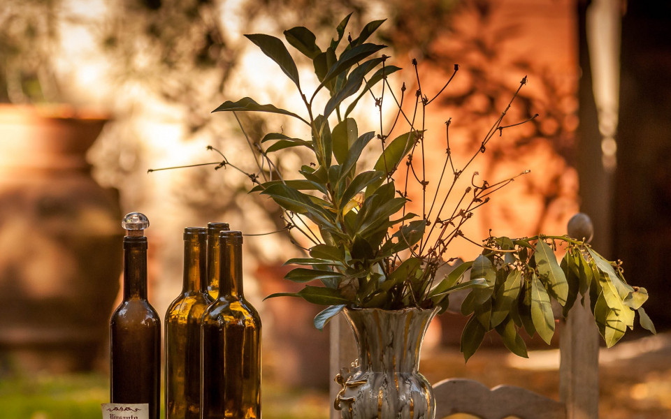 Oliven&ouml;l vom Gardasee