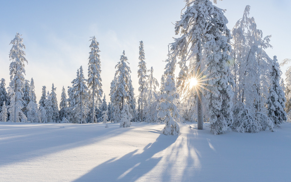 Winterurlaub - Glühwein, Winter-Wunderland und ganz viel Naturschauspiel