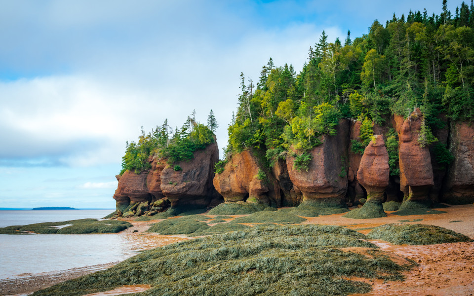 Mit gr&uuml;n bewachsene Felsen und Algen am Strand von Bay of Fundy w&auml;hrend der Ebbe