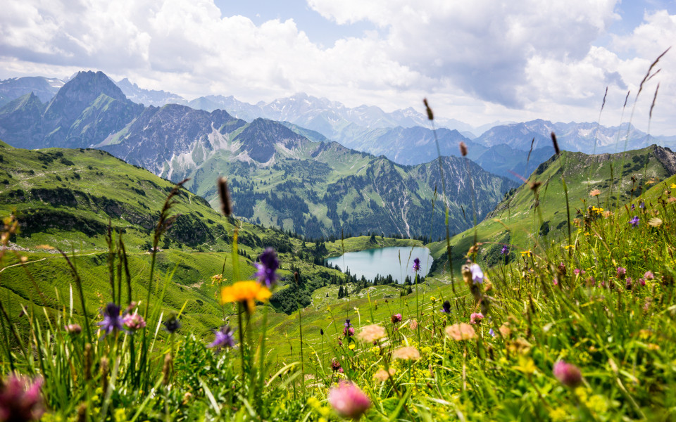 Der Seealpsee im Naturparadies Allg&auml;u, umgeben von gr&uuml;nen Wiesen und den majest&auml;tischen Alpen im Hintergrund.