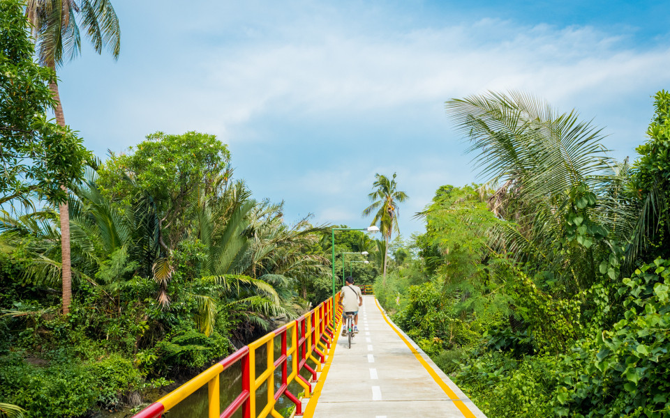 Ein junger Mann radelt auf dem von &uuml;ppiger tropischer Vegetation ges&auml;umten Weg in Bang Krachao