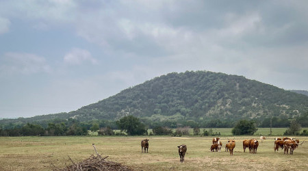 San-Antonio-in-Texas