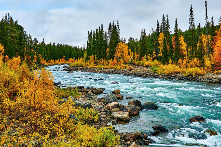 Flusslandschaft in Nordschweden im Herbst